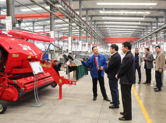 网站用图-15444792065