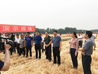 网站首页用图-10361632535