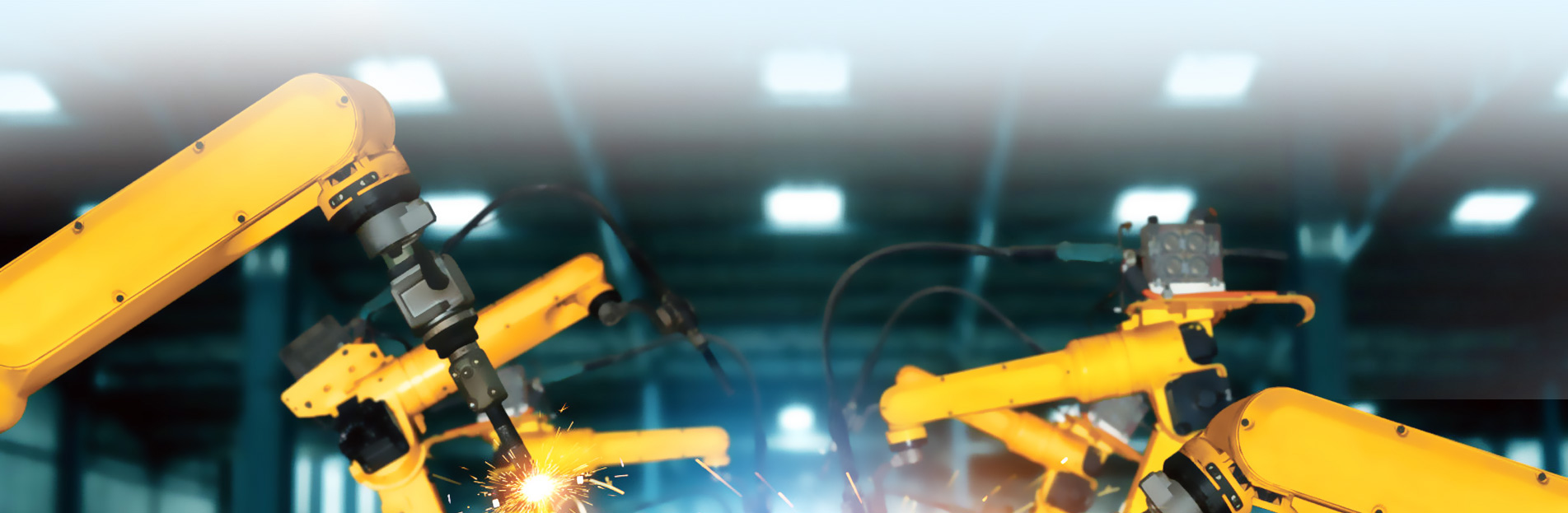 8nQJZwZX0a8wxUROCMHzVppjHhAXE56mMQFEFEy5